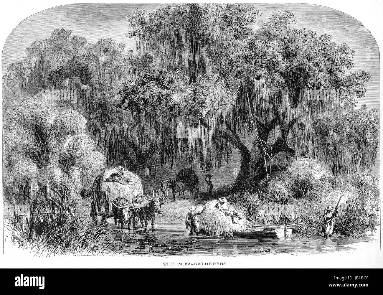 Engraving of the Moss Gatherers on the banks of the Lower Mississippi scanned at high resolution from a book printed in 1872. Believed copyright free. Stock Photo
