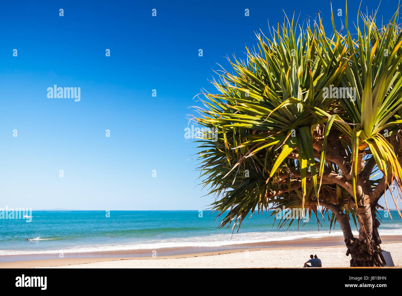 A young couple relaxing in the shade of the pandana tree in Caloundra, Queensland, Australia. Stock Photo