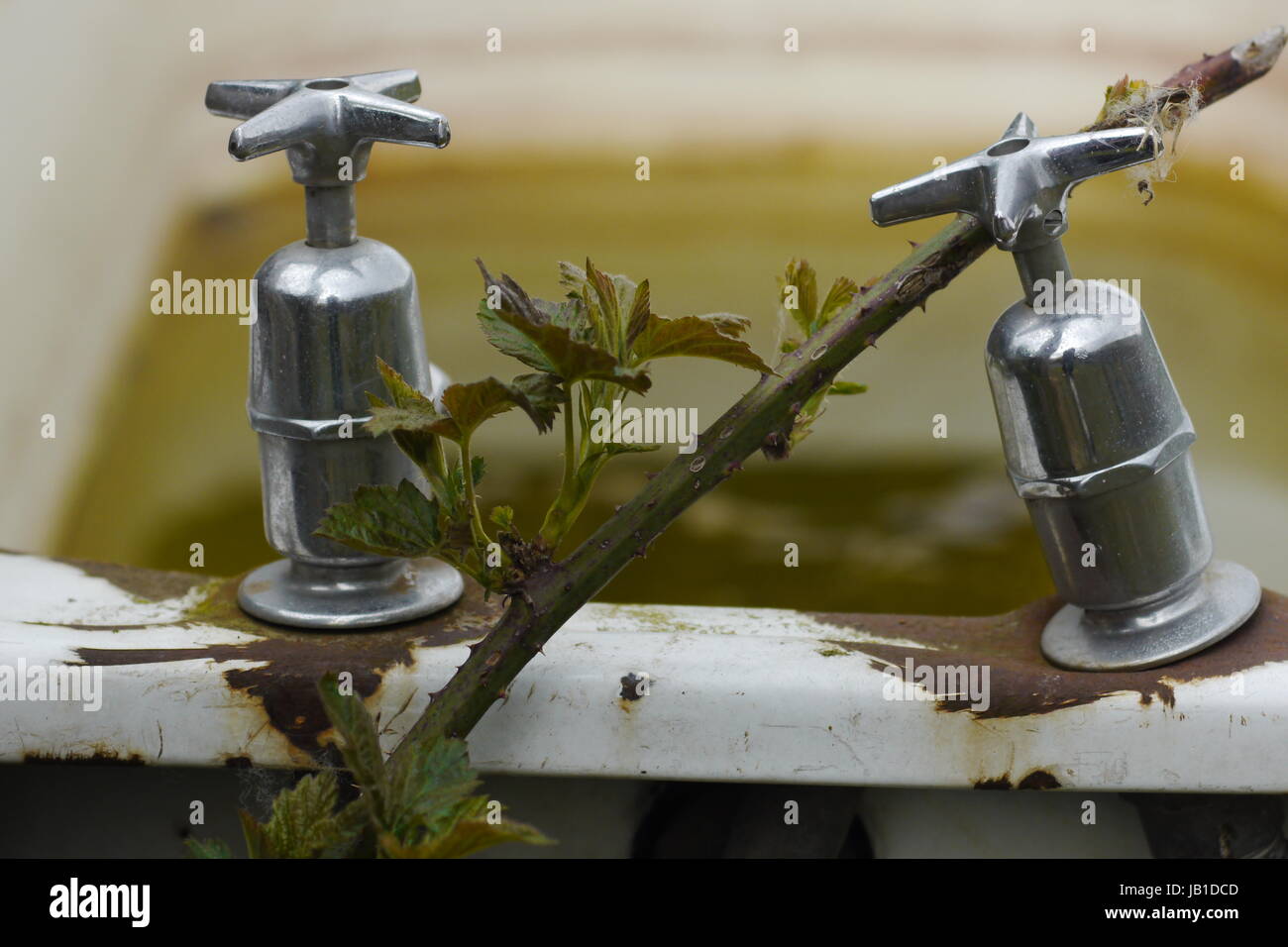 An outside bath which is used to water cows in a field in Ireland. Stock Photo