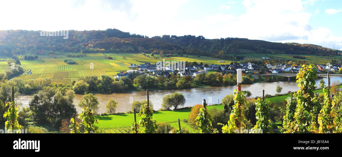 Kindel an der Mosel im Herbst Panorama Stock Photo