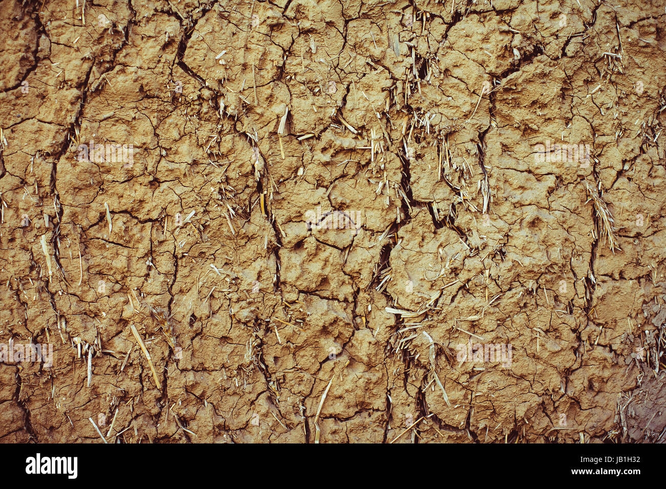 Texture of clay in cracks Stock Photo Alamy
