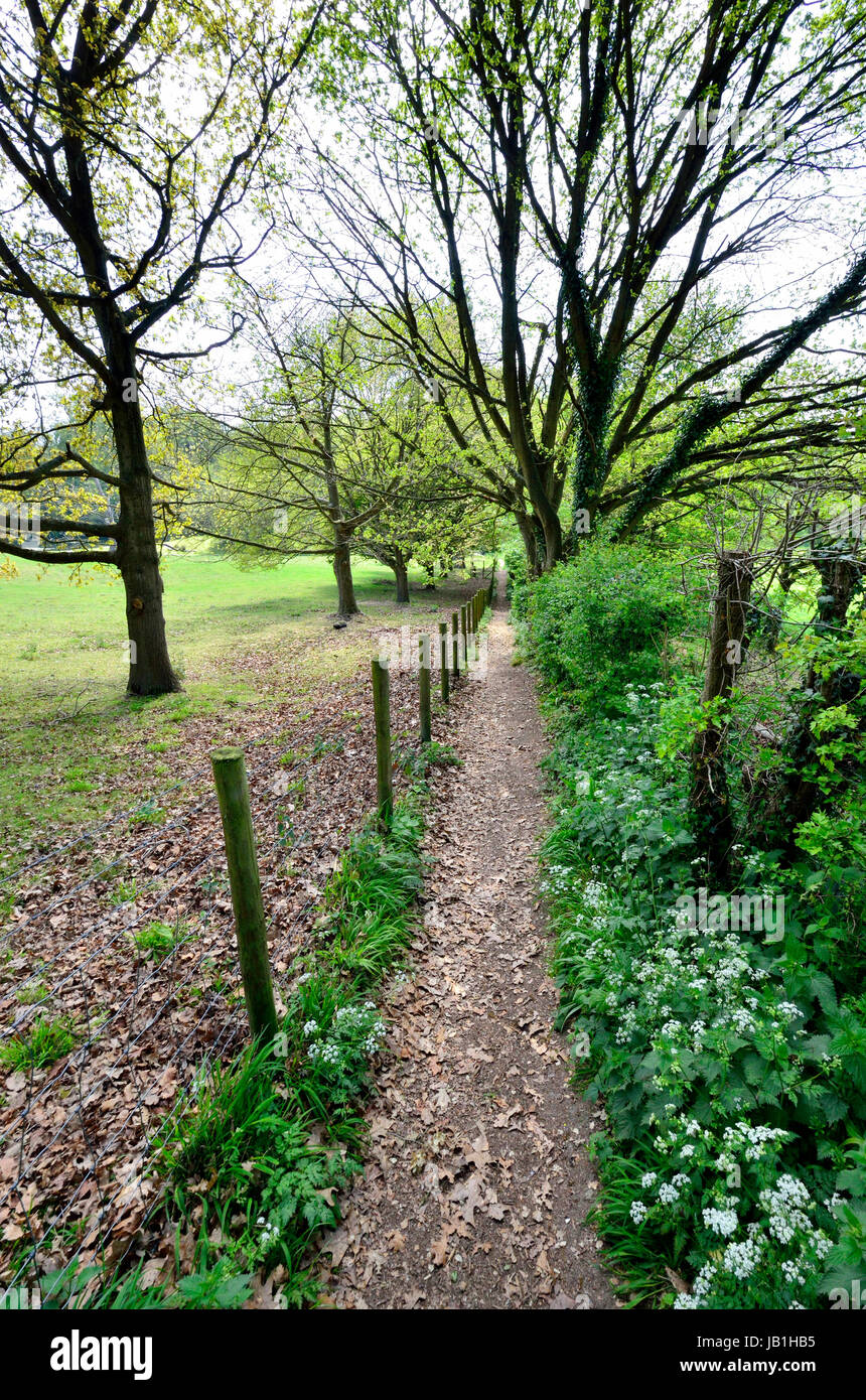 Boughton Monchelsea village, Maidstone, Kent, Public footpath through ...
