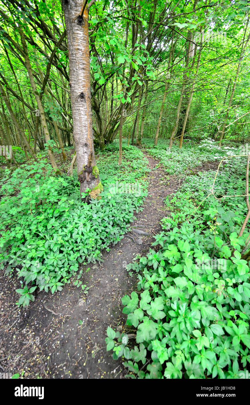 Boughton Monchelsea village, Maidstone, Kent, Public footpath through