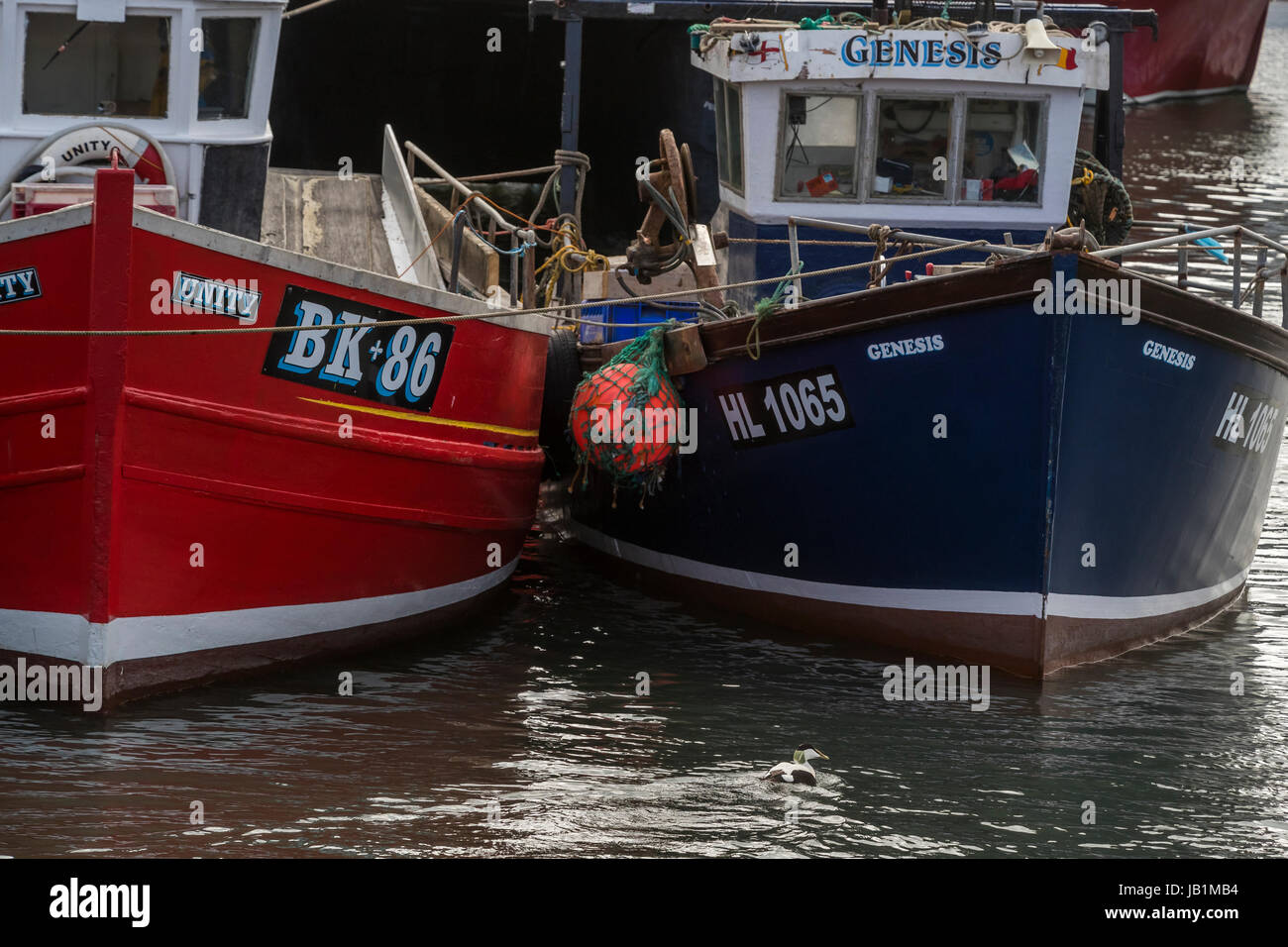 Fishing boat seahouses northumbria hi-res stock photography and images ...