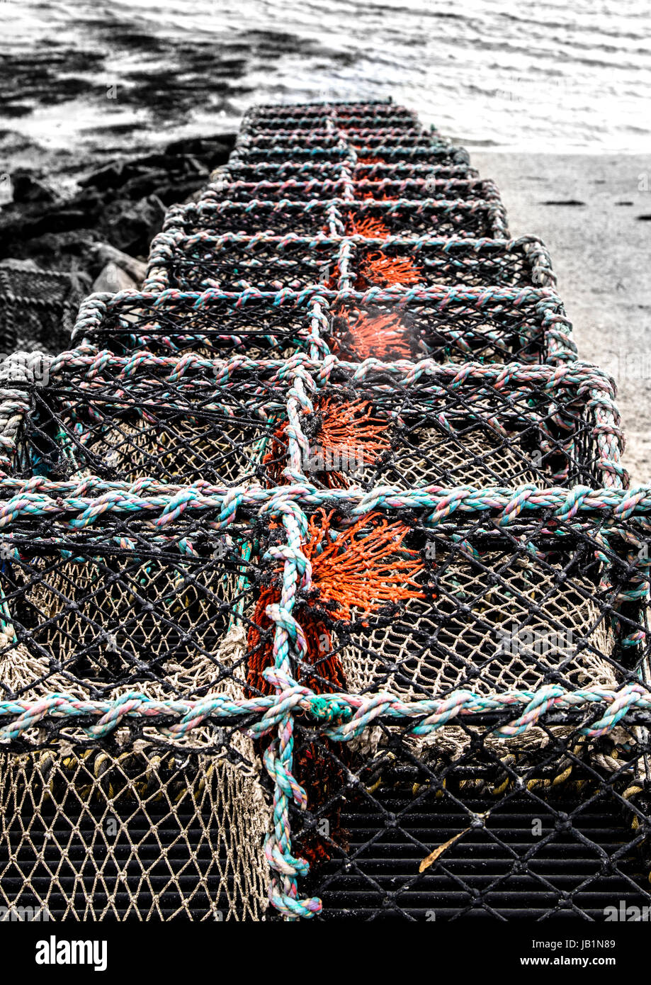 Creels on the dockside Stock Photo - Alamy