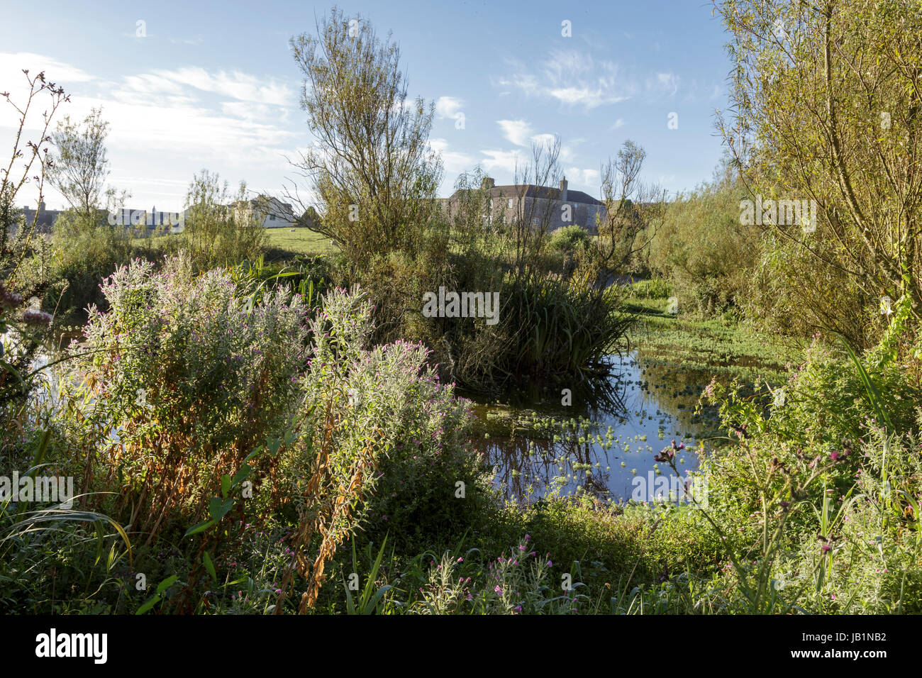 The village pond at East Prawle, South Devon, UK Stock Photo Alamy