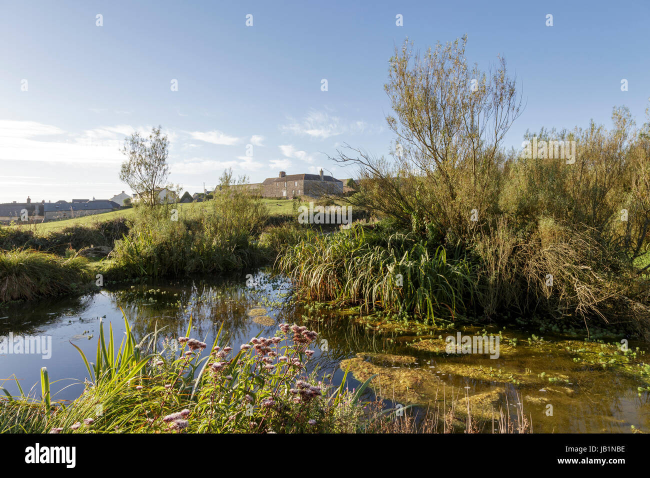 The village pond at East Prawle, South Devon, UK Stock Photo Alamy
