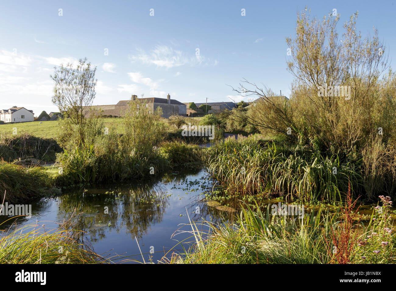 The village pond at East Prawle, South Devon, UK Stock Photo Alamy