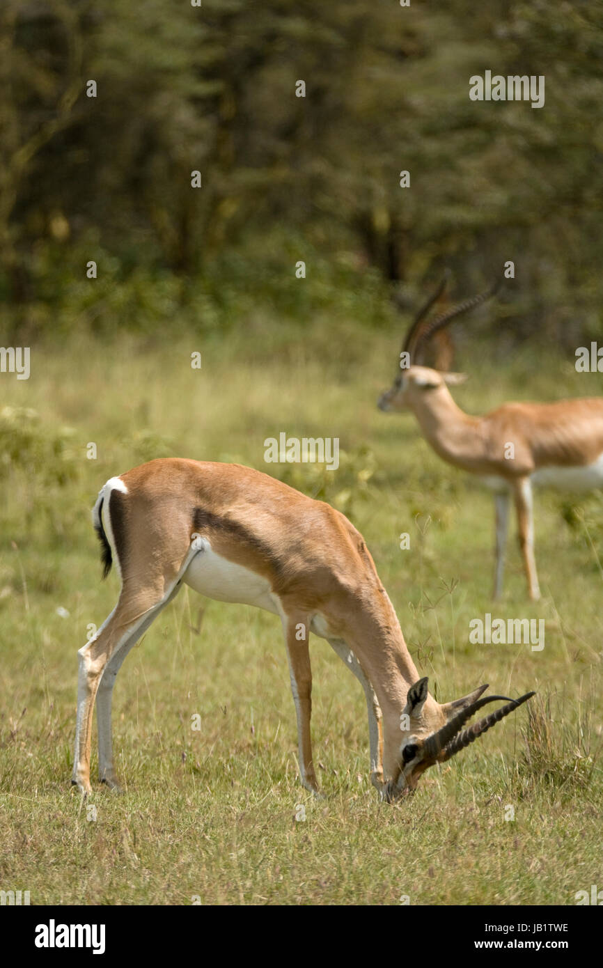 Yunon lesbian porno Rossiyada xotinim va dostim bilan jinsiy aloqa