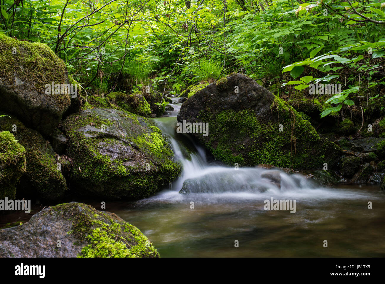 Waterfall In River Waterfall landscape river Stock Photo - Alamy