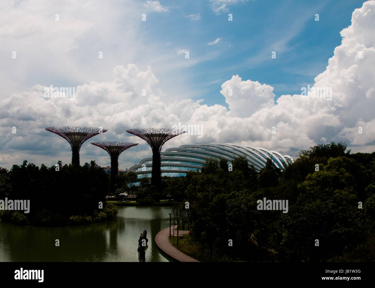Super tree grove, made of steel, in Gardens by the Bay Singapore Stock Photo