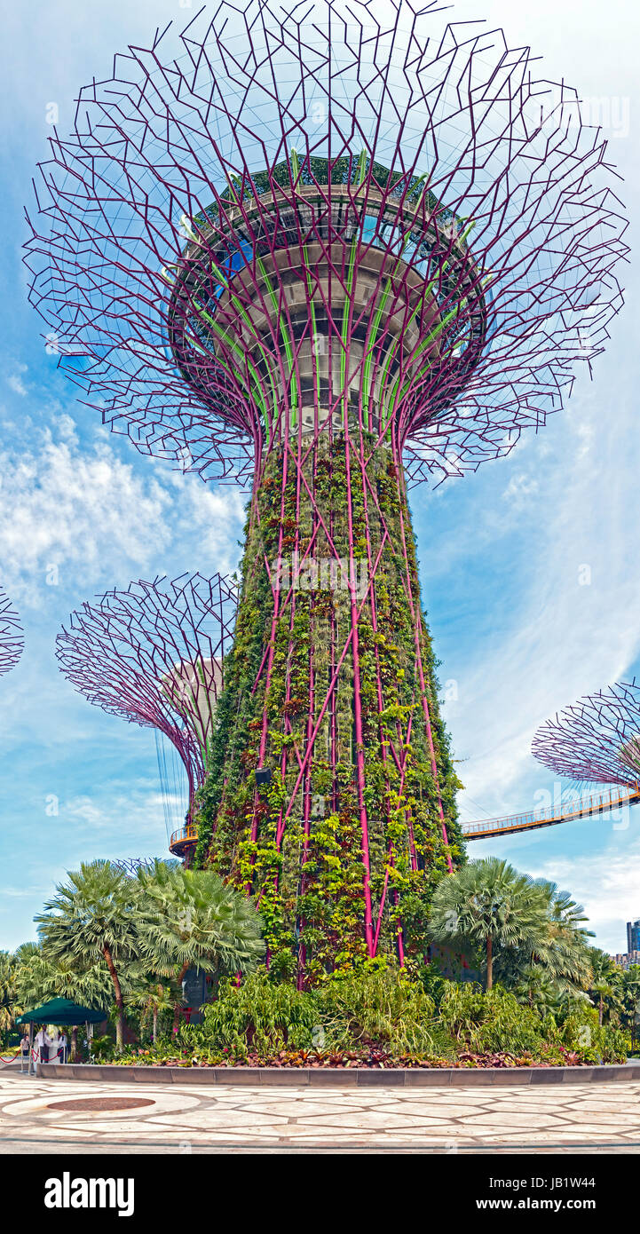Super tree made of steel in Gardens by the Bay Singapore Stock Photo