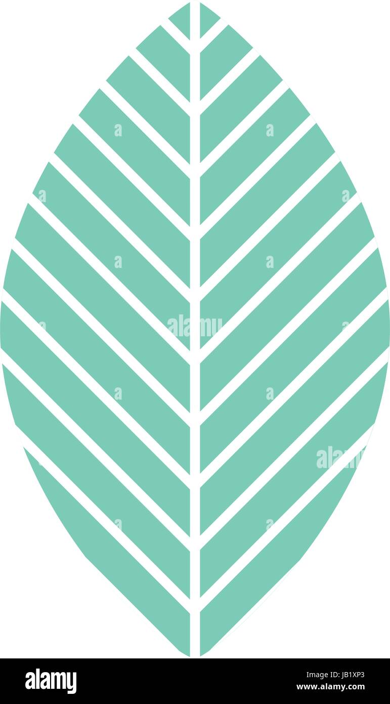 leaf plant isolated icon Stock Vector Image & Art - Alamy