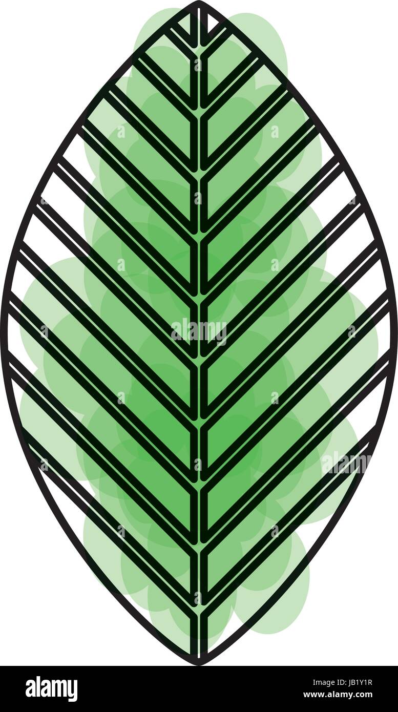 leaf plant isolated icon Stock Vector Image & Art - Alamy