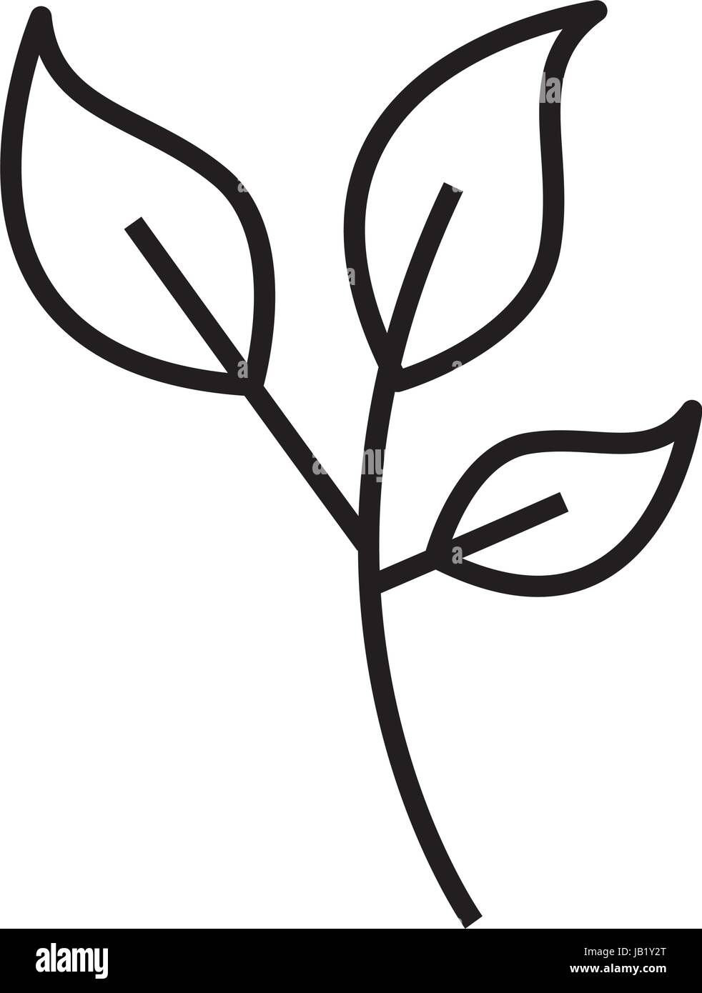 leaf plant isolated icon Stock Vector Image & Art - Alamy