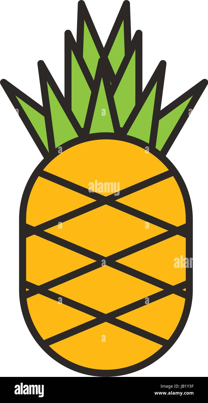 pineapple fresh fruit isolated icon Stock Vector Image & Art - Alamy