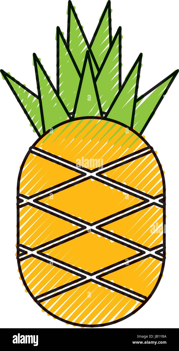 pineapple fresh fruit isolated icon Stock Vector Image & Art - Alamy