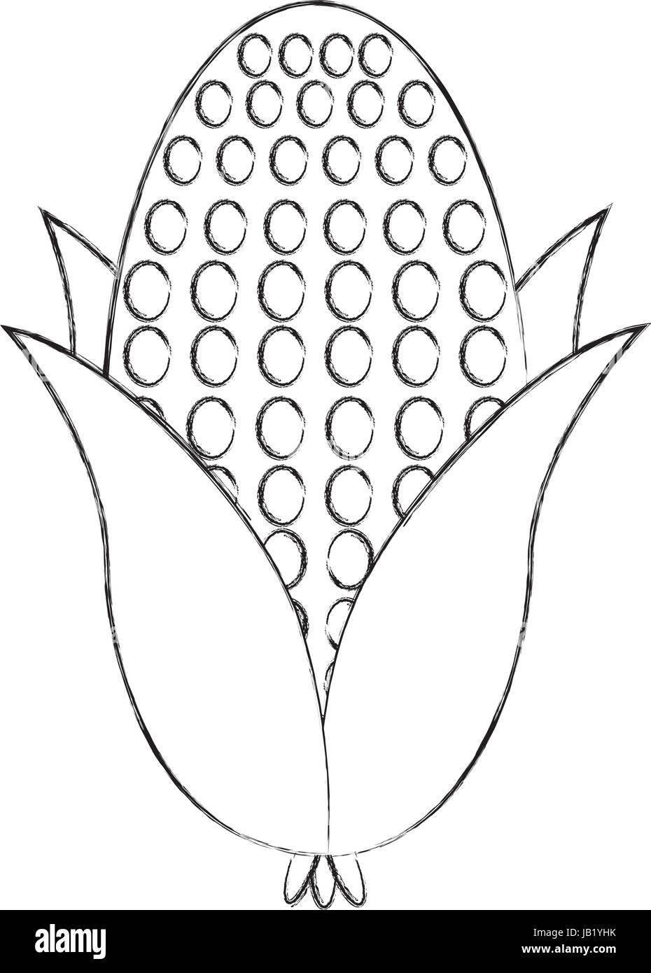 cob corn isolated icon Stock Vector Image & Art - Alamy