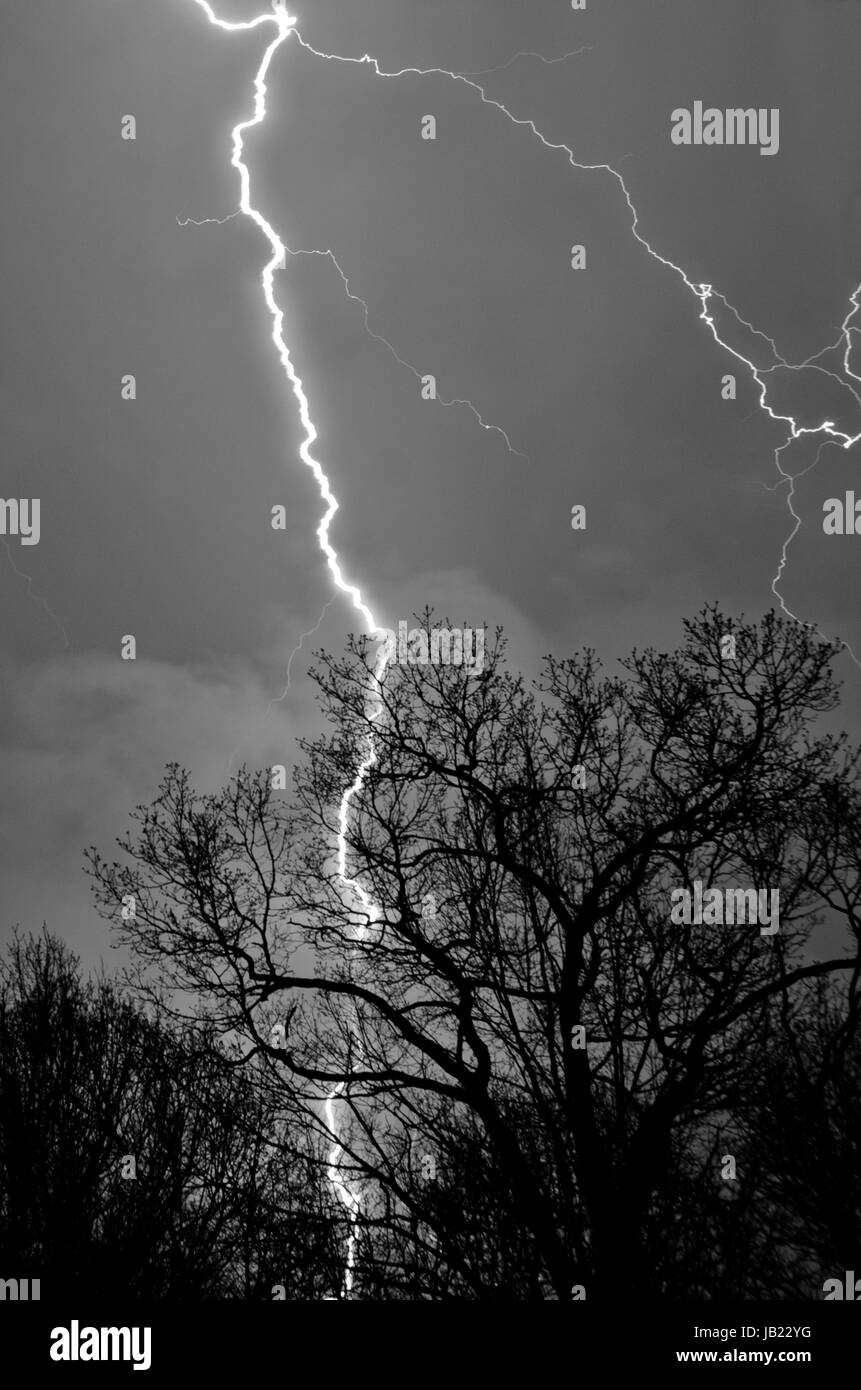 Lightening strike tree hi-res stock photography and images - Alamy