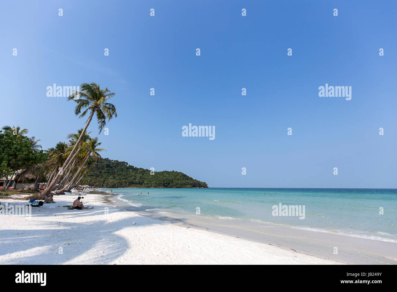Summer vacation holiday in Phu Quoc island white sand beach Coconut trees / Palm trees clear blue sky Stock Photo