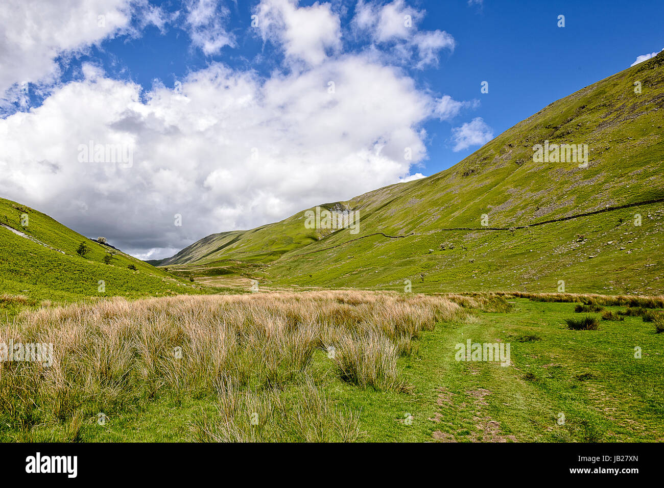 View down Hagg Ghyll above Troutbeck village, Lake District Stock Photo