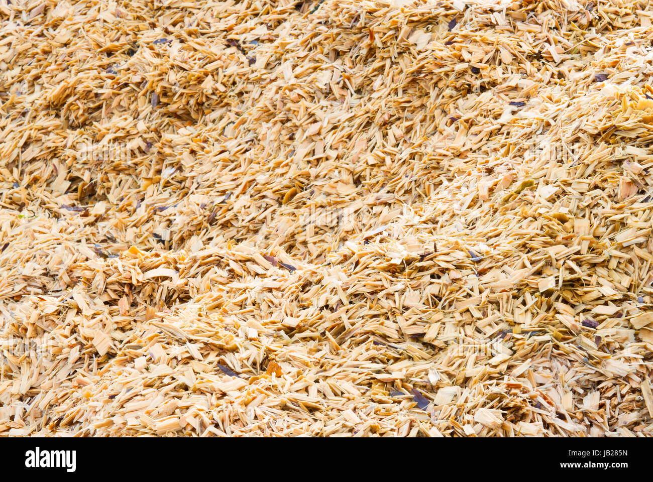 recycling of wood residues Stock Photo - Alamy