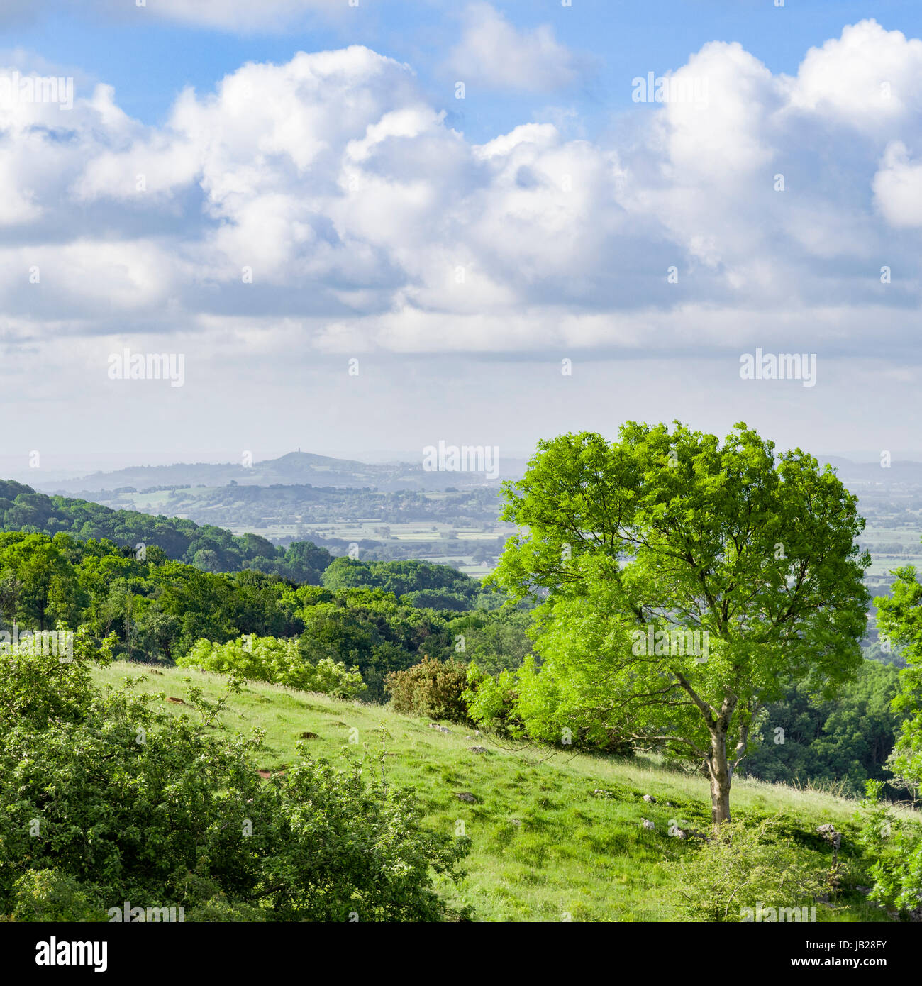 The view from the top of Cheddar Gorge in Somerset, looking across the Somerset Levels towards Glastonbury Tor, as seen during the Gorge Walk. Stock Photo