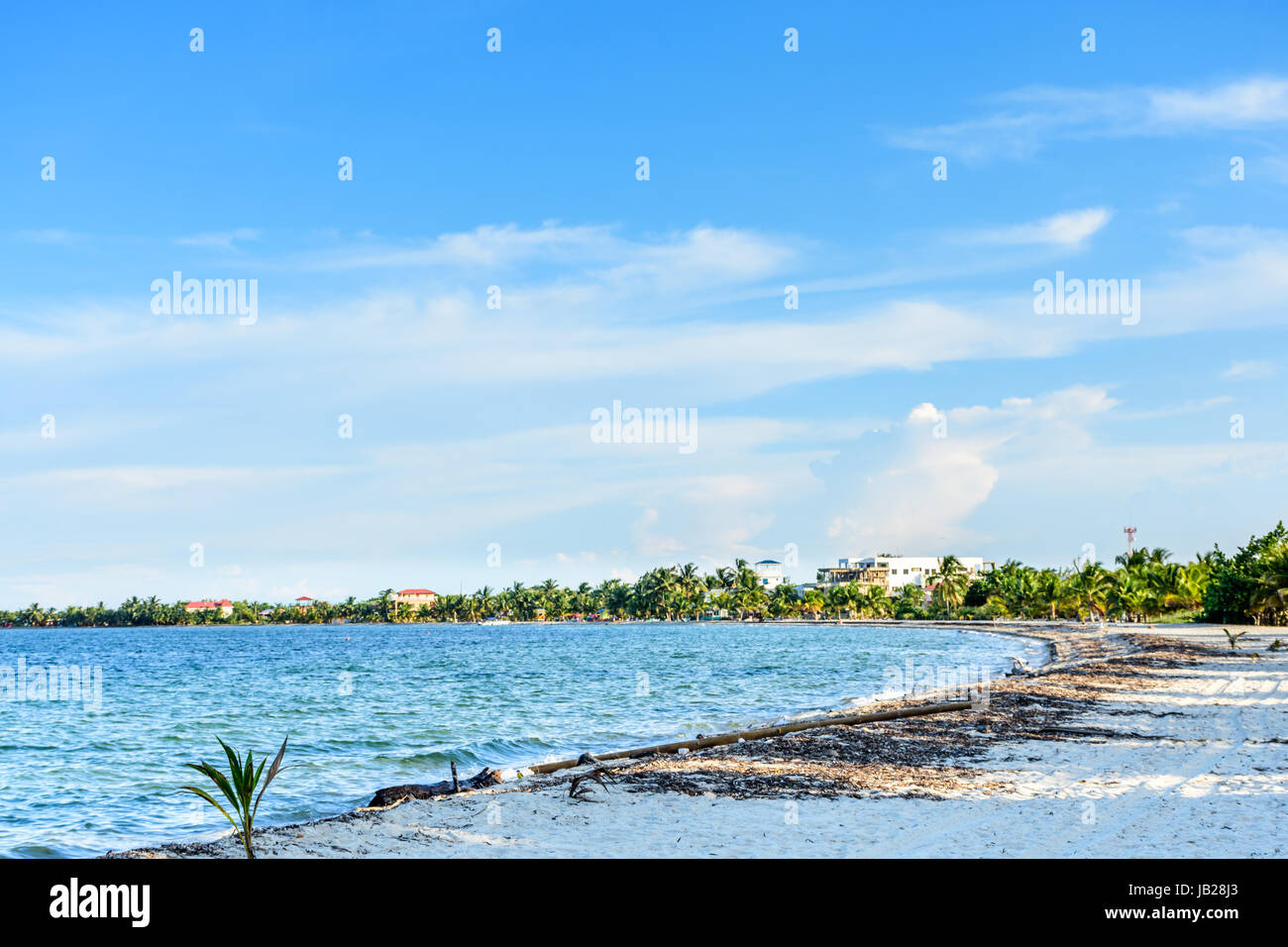 Caribbean beach in late afternoon light in Belize, Central America Stock Photo