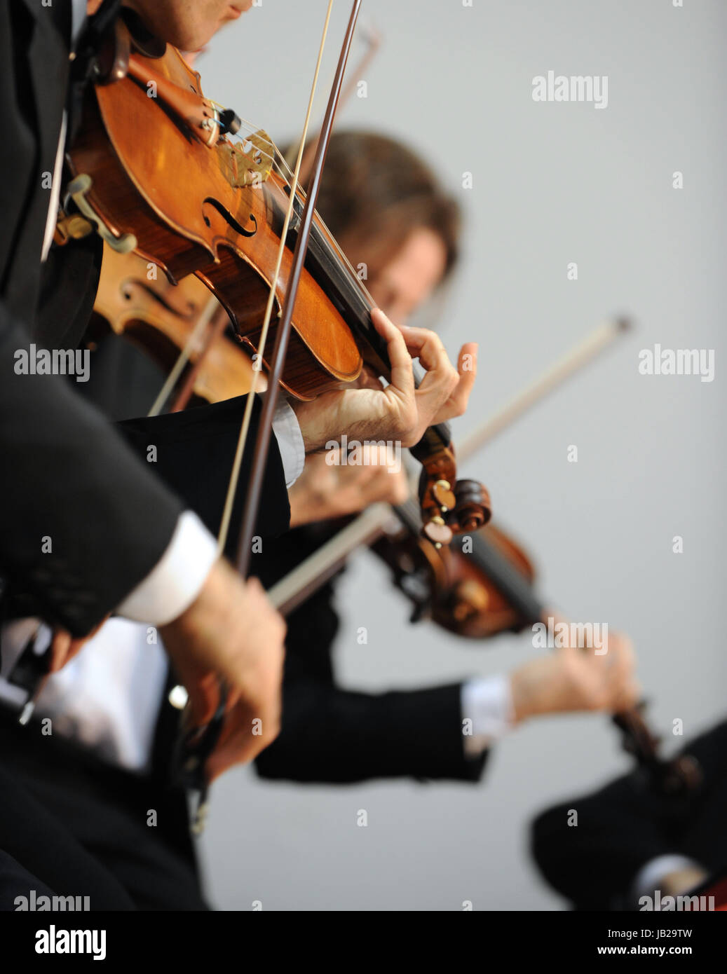 violinist at the concert Stock Photo Alamy