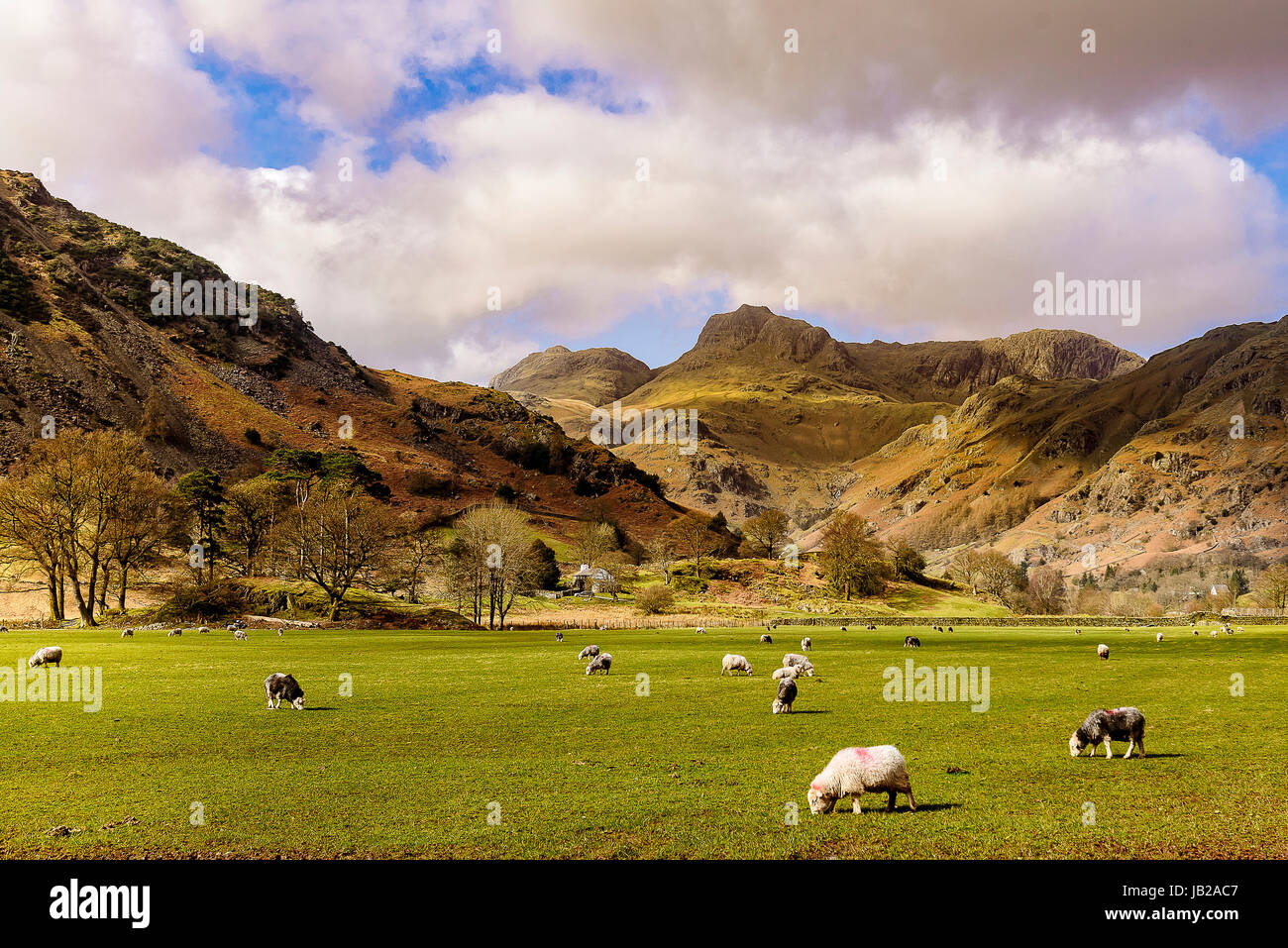 Great Langdale valley with the Lansdale Pikes Stock Photo