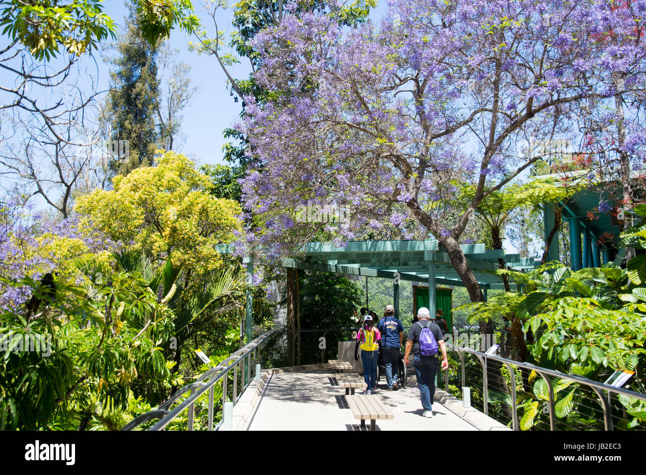 The San Diego Zoo is also famous as a botanic garden. Stock Photo