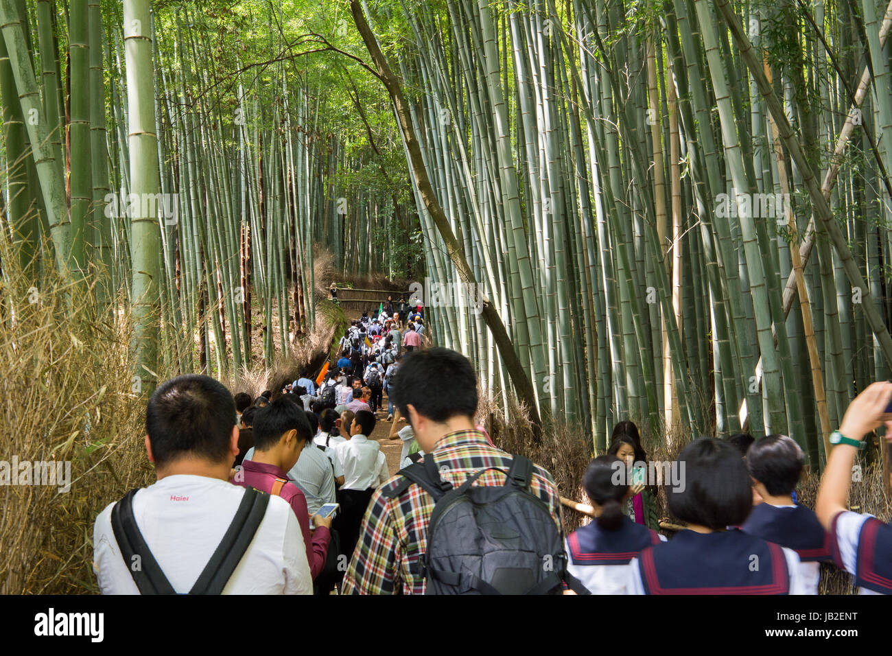 Tourists In Bamboo Forest In Arashiyama Kyoto Japan Stock Photo Alamy
