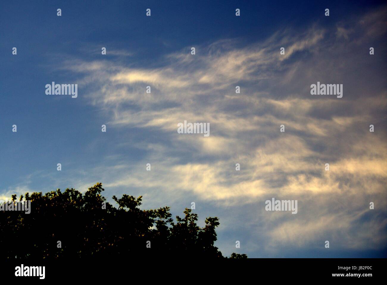 facial Pareidolia blue sky with white clouds that look like a fire dragon Stock Photo