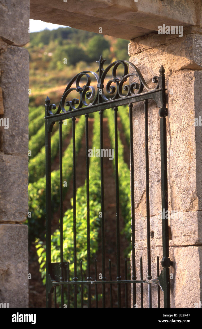 Open metal entrance gate and stone arch to La Maladière vineyard, Santenay, Côte d'Or, France. Stock Photo