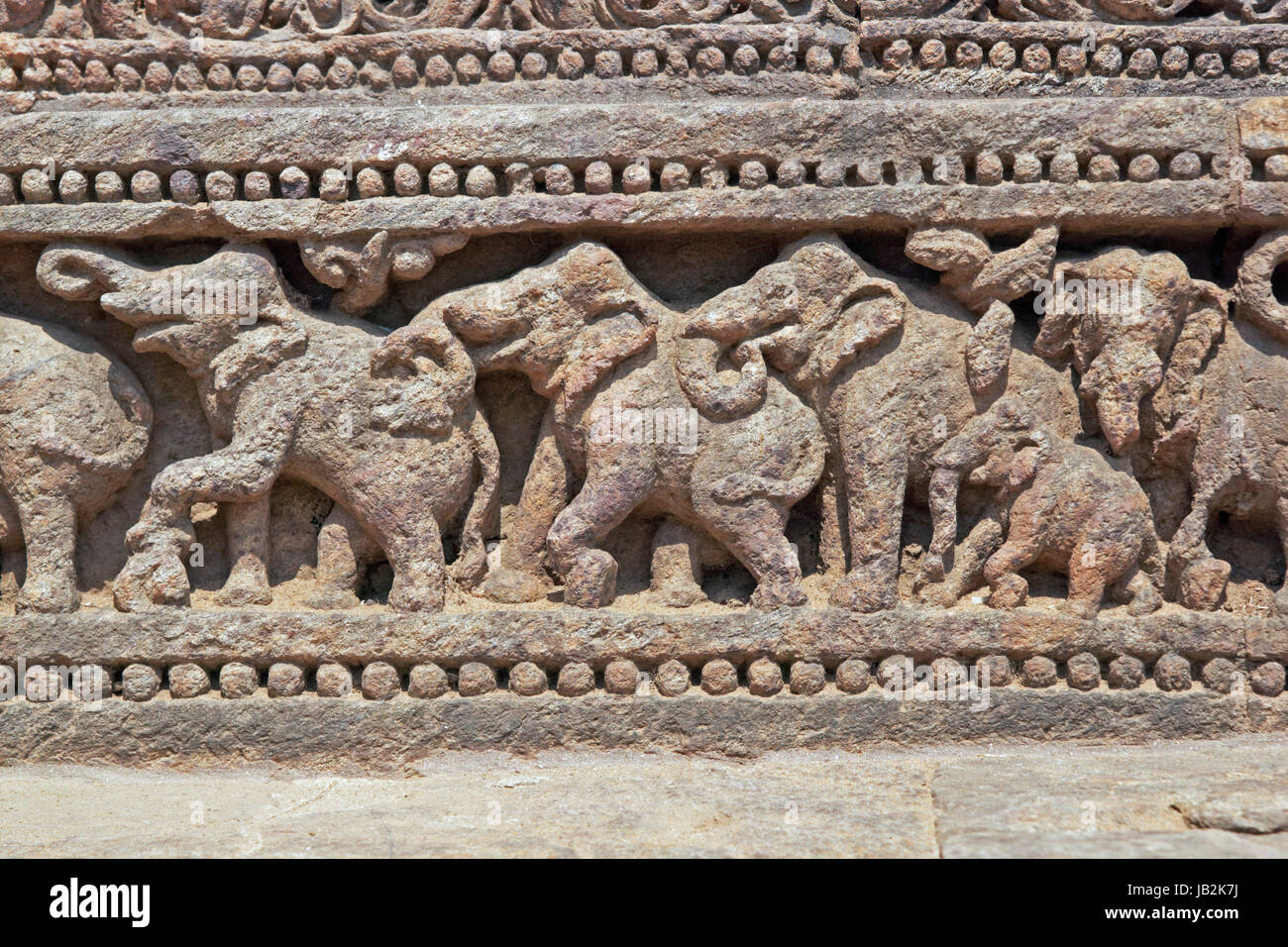 Carving of elephants around the base of the ancient Surya Hindu Temple at Konark in Orissa, India. 13th Century AD Stock Photo