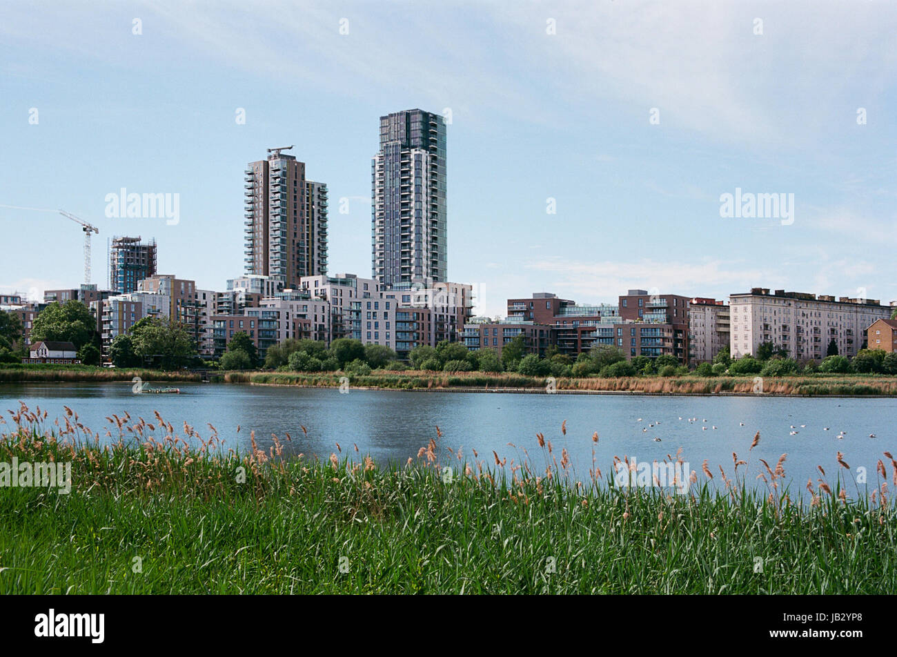 Woodberry Wetlands Nature Reserve, near Stoke Newington, North London