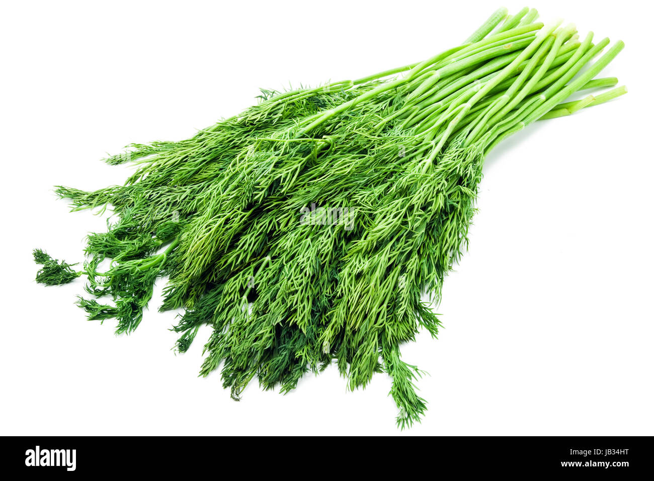 Fresh dill isolated on white background Stock Photo