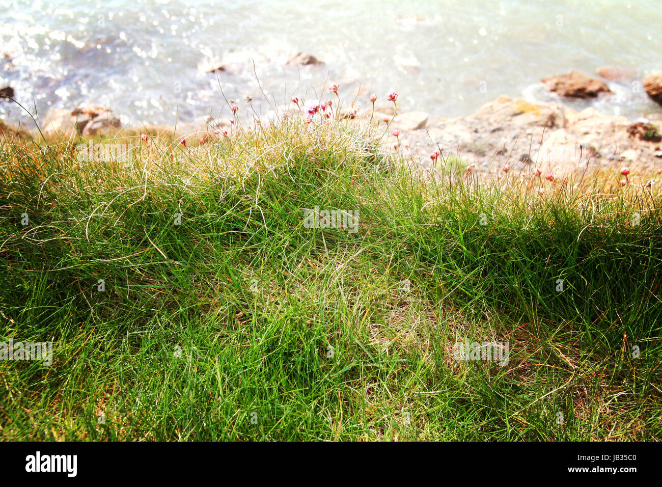 Grassy verge on the Cliff side with water in the distant background in Dublin Ireland Stock Photo