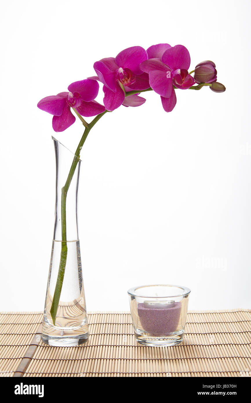 A purple orchid stands into a tall vase of glass filled half with water.  The vase stands on a place mat of bamboo and is decorated with some  tealights Stock Photo -
