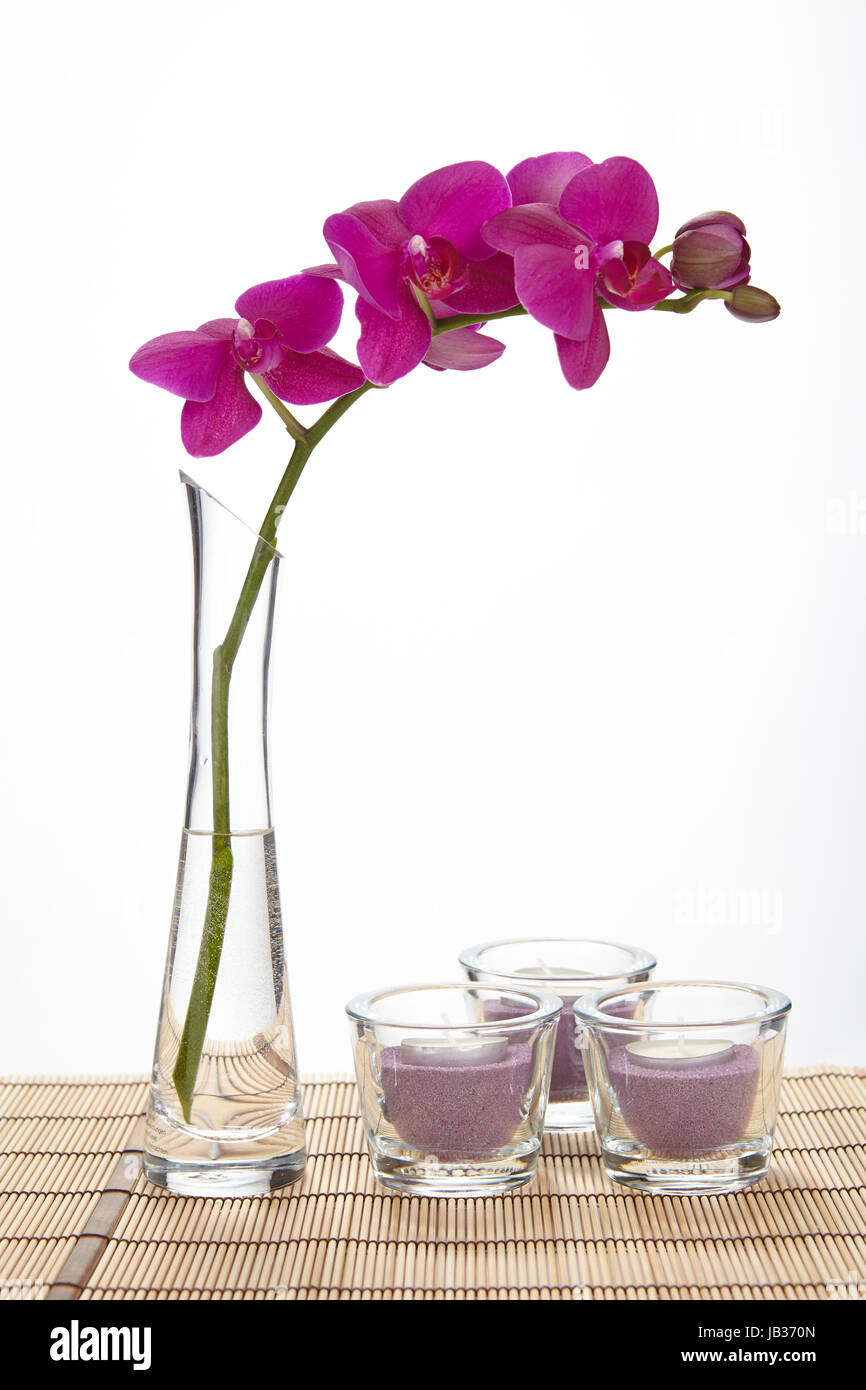 A Purple Orchid Stands Into A Tall Vase Of Glass Filled Half With