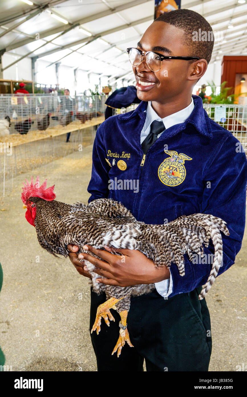 Miami Florida,Tamiami Park,Miami-Dade County Youth Fair & Exposition,county fair,animal husbandry,poultry competition,Black boy boys,male kid kids chi Stock Photo
