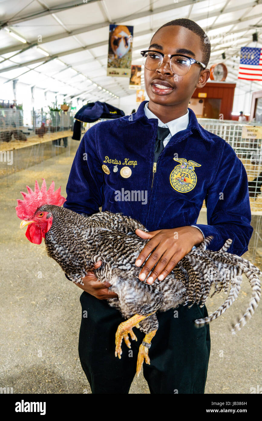 Miami Florida,Tamiami Park,Miami-Dade County Youth Fair & Exposition,county fair,animal husbandry,poultry competition,Black Blacks African Africans et Stock Photo