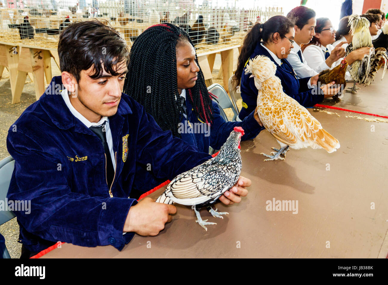 Miami Florida,Tamiami Park,Miami-Dade County Youth Fair & Exposition,county fair,animal husbandry,poultry competition,Asian Black African Africans,boy Stock Photo