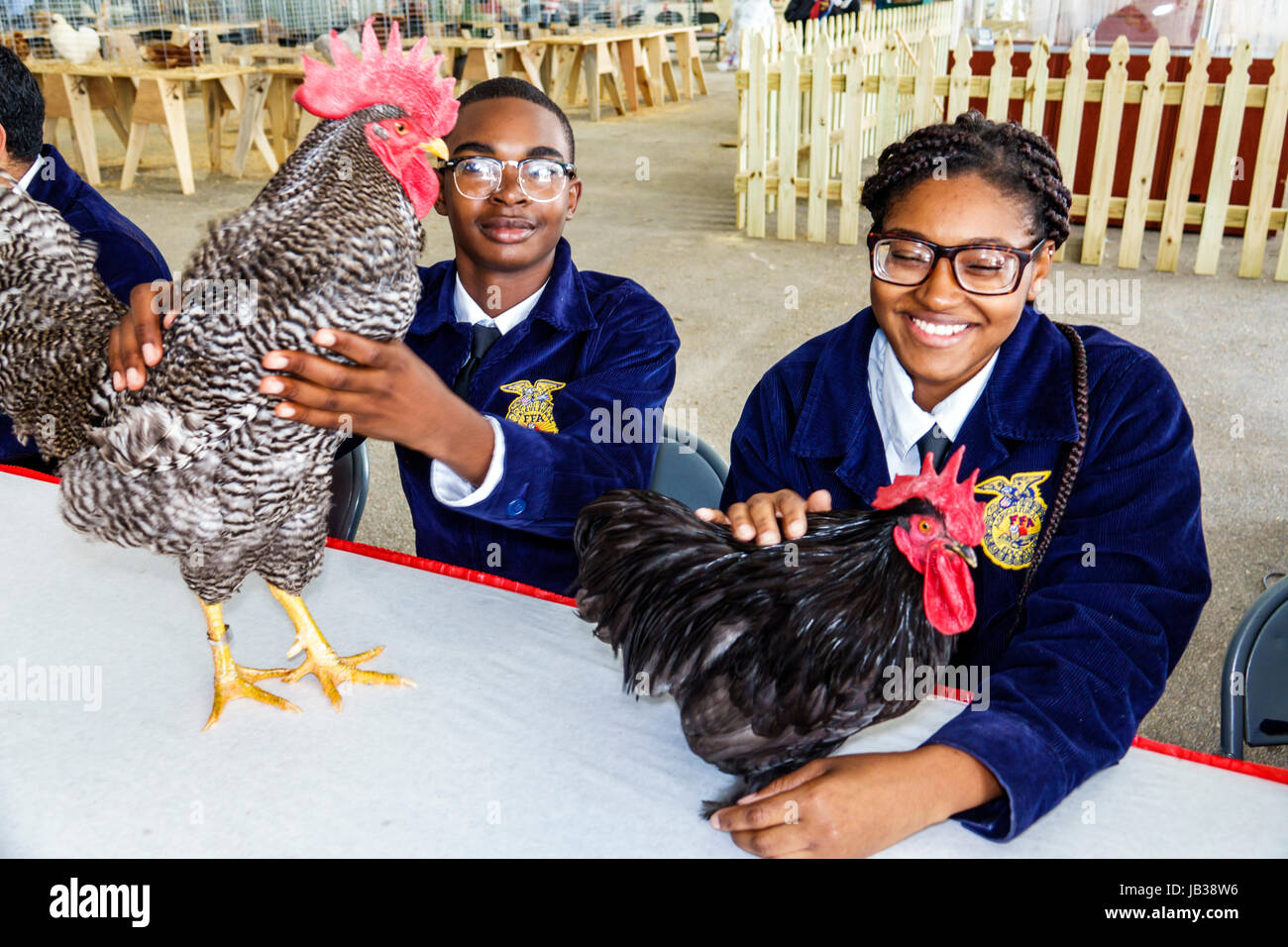 Miami Florida,Tamiami Park,Miami-Dade County Youth Fair & Exposition,county  fair,animal husbandry,poultry competition,Black boy boys,male kid kids chi  Stock Photo - Alamy