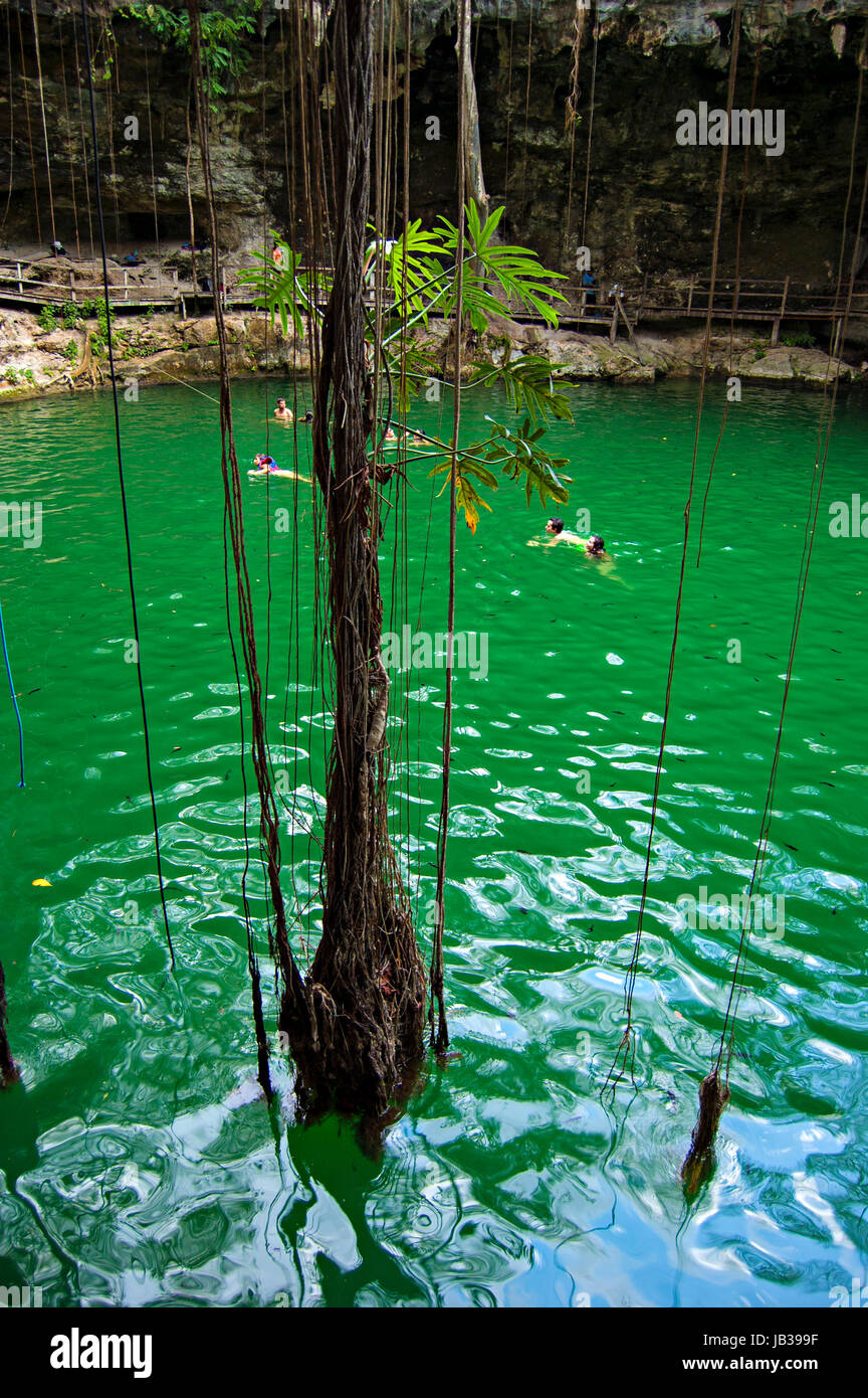 Yucatan cenote swimming hi-res stock photography and images - Page 4 - Alamy