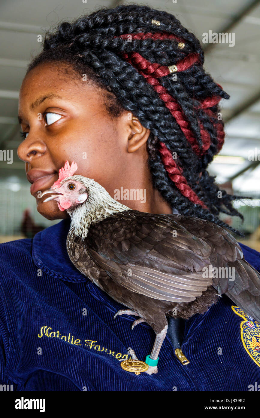 Miami Florida,Tamiami Park,Miami-Dade County Youth Fair & Exposition,county fair,animal husbandry,poultry competition,Black Blacks African Africans et Stock Photo