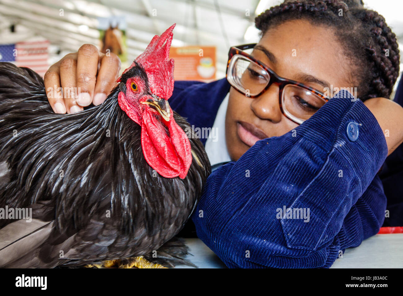 Miami Florida,Tamiami Park,Miami-Dade County Youth Fair & Exposition,county fair,animal husbandry,poultry competition,Black girl girls,female kid kids Stock Photo
