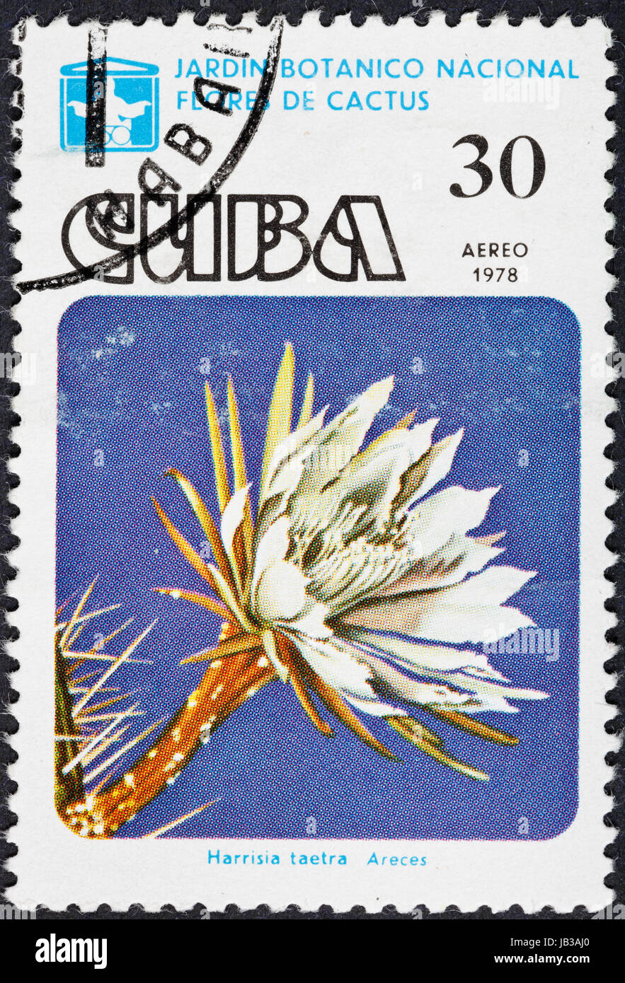 CUBA - CIRCA 1978: A postage stamp printed in the Cuba shows blossoming of Harrisia taetra cactus in National botanical garden, circa 1978 Stock Photo