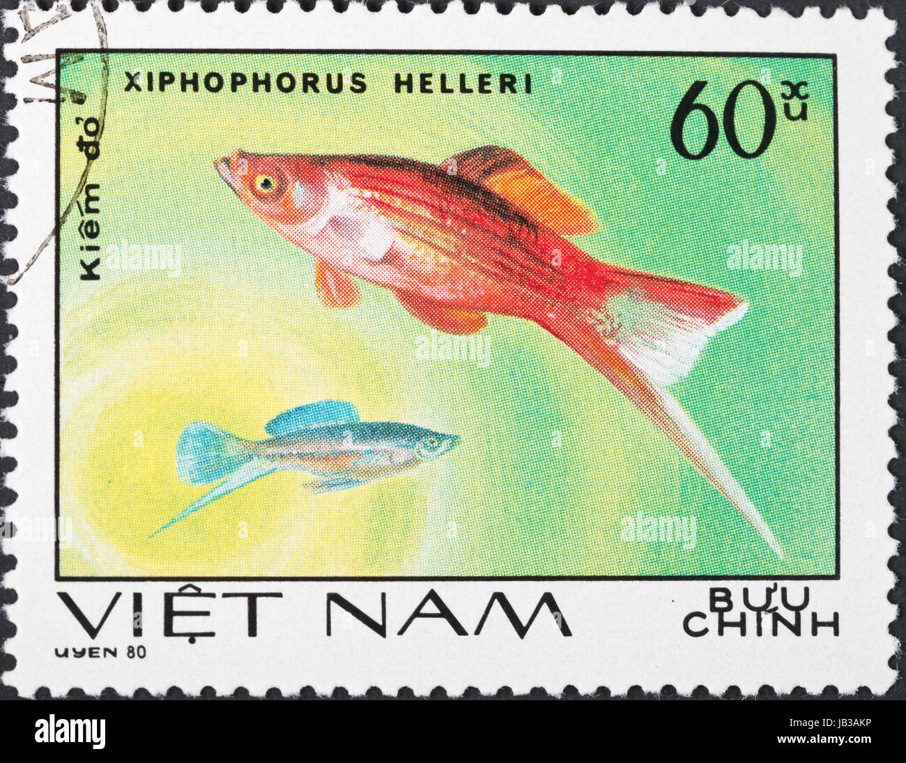 SOCIALIST REPUBLIC OF VIETNAM - CIRCA 1980: A postage stamp printed in the Vietnam shows Xiphophorus helleri - green swordtail fish, circa 1980 Stock Photo