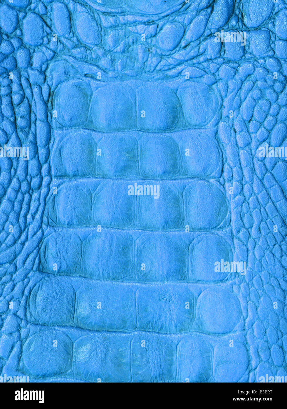 Close up crocodile skin texture as background Stock Photo - Alamy
